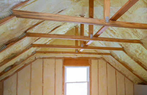 Best Types of Insulation in Ardia, CA