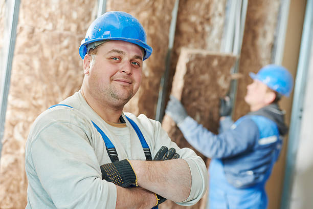 Best Insulation Installation Services in Ardia, CA
